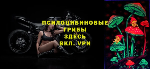 мет Протвино