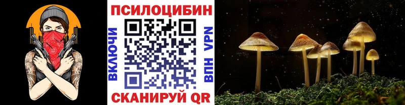 где продают darknet телеграм Псилоцибиновые грибы GOLDEN TEACHER Зубцов